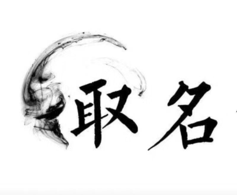  将乐宝宝取名 大师一对一人工起名